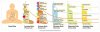 five-koshas-diagram.jpg
