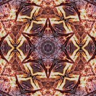 alogan