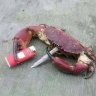 chillcrab