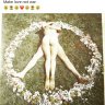 keytopeace369