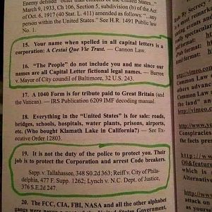 From the book David E. Robinson - Meet your strawman!