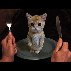 MUST WATCH - THESE PEOPLE MURDER KITTENS FOR FUN! (super cute kittens!) - YouTube