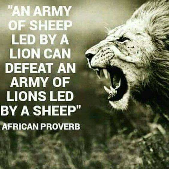 Led by a lion