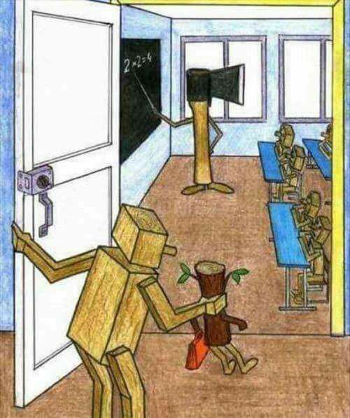 The education system