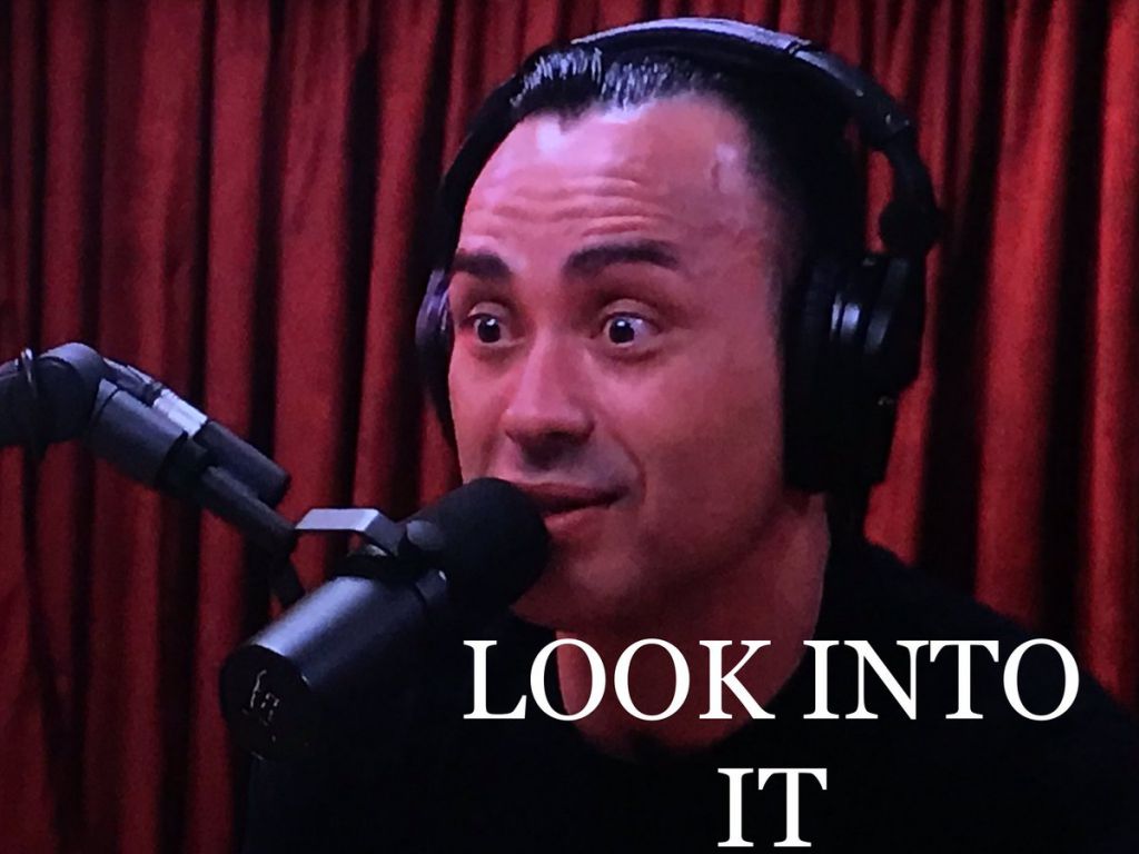 8EiXdN8.jpg